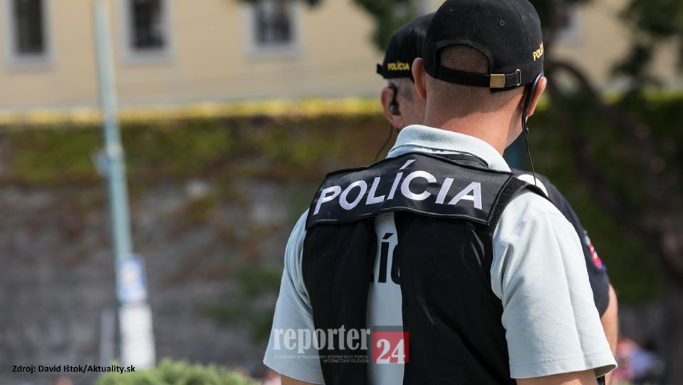 policajti_ilu