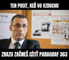 paragraf 363